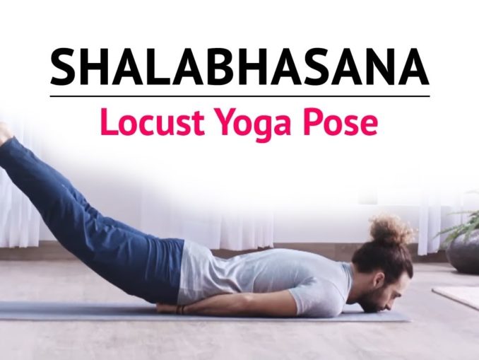 Hasta Padasana | Hand-To-Foot-Pose | Steps | Benefits | Yogic Fitness ...