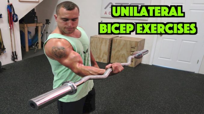 Top 5 Unilateral Bicep Exercises | Fix Your Muscle Imbalance! - Gold ...