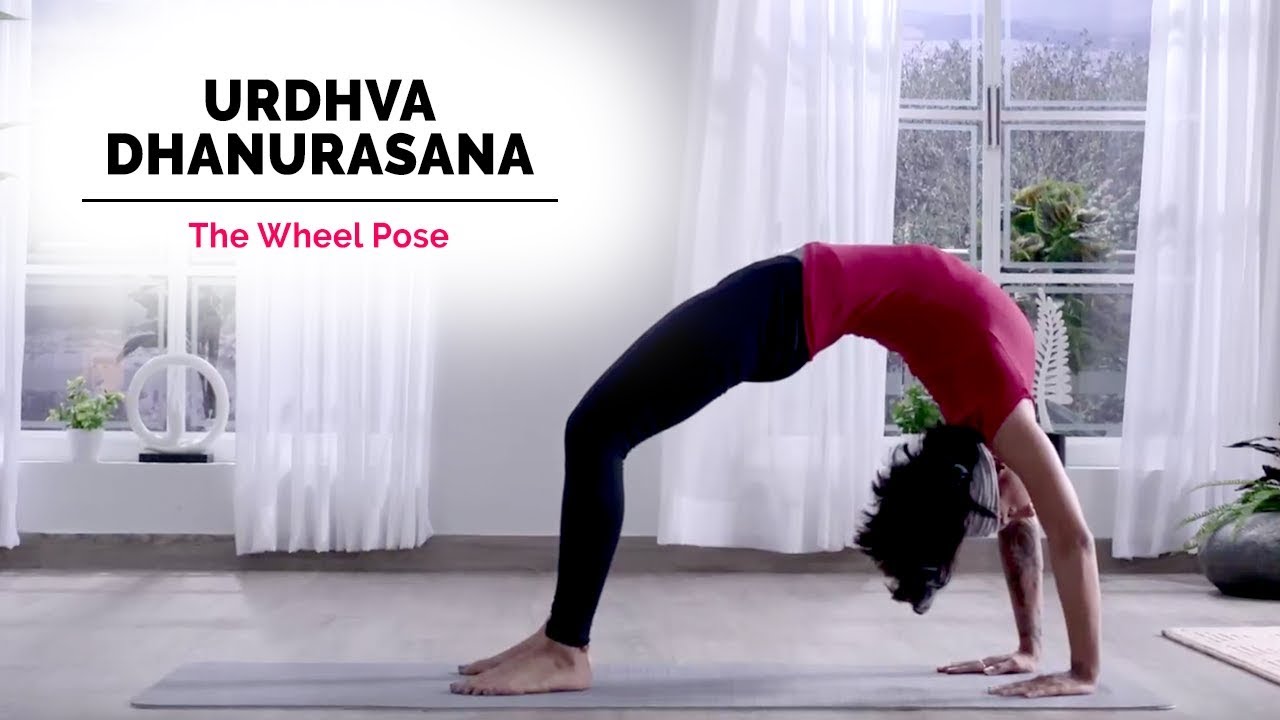 Urdhva Dhanurasana